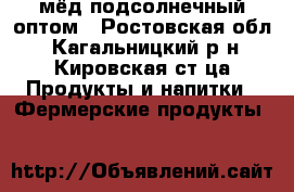 мёд подсолнечный оптом - Ростовская обл., Кагальницкий р-н, Кировская ст-ца Продукты и напитки » Фермерские продукты   